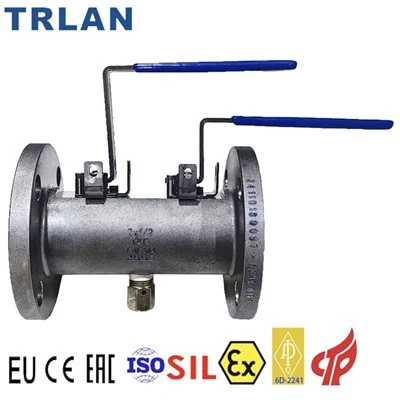 Double Block and Bleed Valve