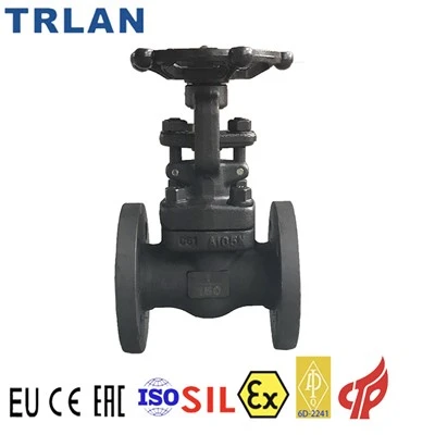 Forged Steel Gate Valve